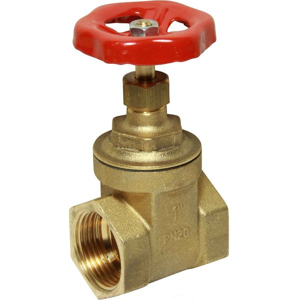 Maestrini Brass Gate Valve with Brass Body (1" BSP Female) - PROTEUS MARINE STORE