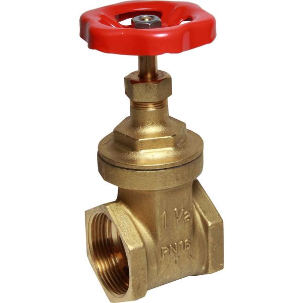 Maestrini Brass Gate Valve with Brass Body (1-1/2" BSP Female) - PROTEUS MARINE STORE