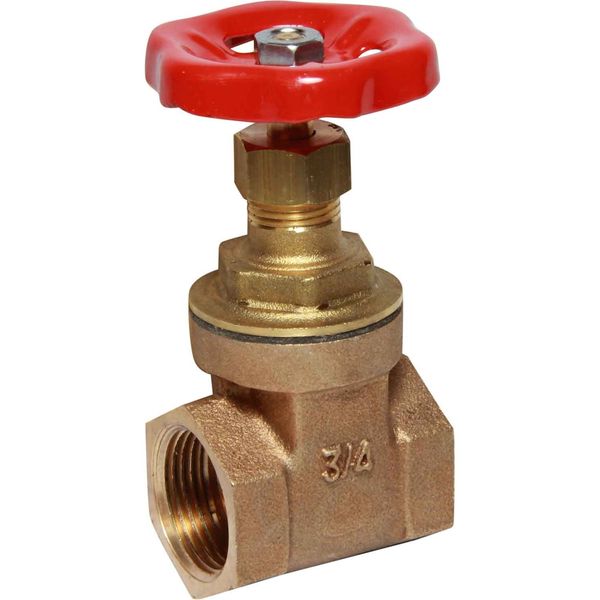 Maestrini Brass Gate Valve with Bronze Body (3/4" BSP Female) - PROTEUS MARINE STORE