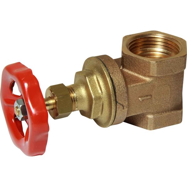 Maestrini Brass Gate Valve with Bronze Body (1" BSP Female) - PROTEUS MARINE STORE