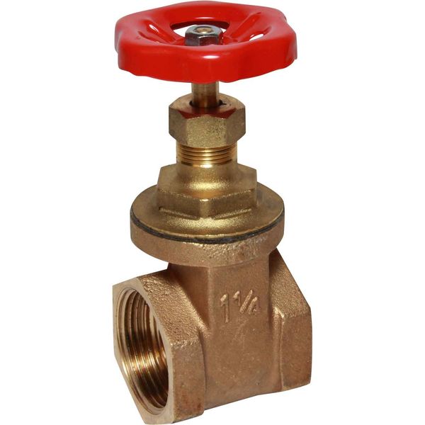 Maestrini Brass Gate Valve with Bronze Body (1-1/4" BSP Female) - PROTEUS MARINE STORE