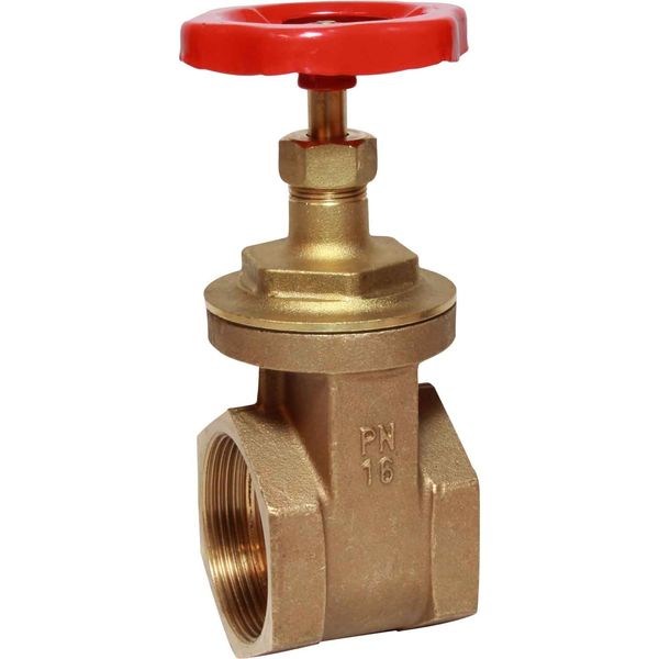 Maestrini Brass Gate Valve with Bronze Body (2-1/2" BSP Female) - PROTEUS MARINE STORE