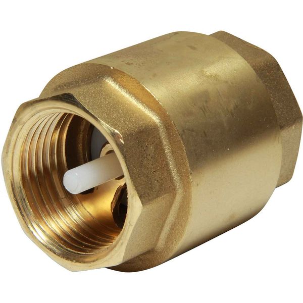 Maestrini Brass Inline Spring Check Valve (1" BSP Female) - PROTEUS MARINE STORE