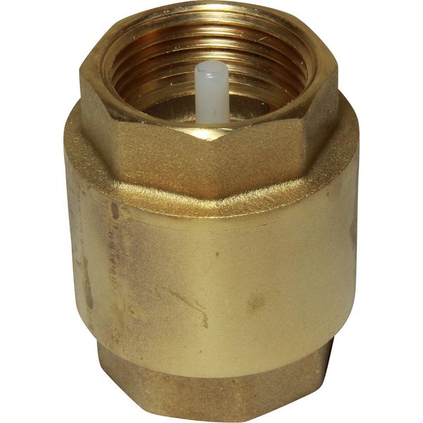 Maestrini Brass Inline Spring Check Valve (1" BSP Female) - PROTEUS MARINE STORE