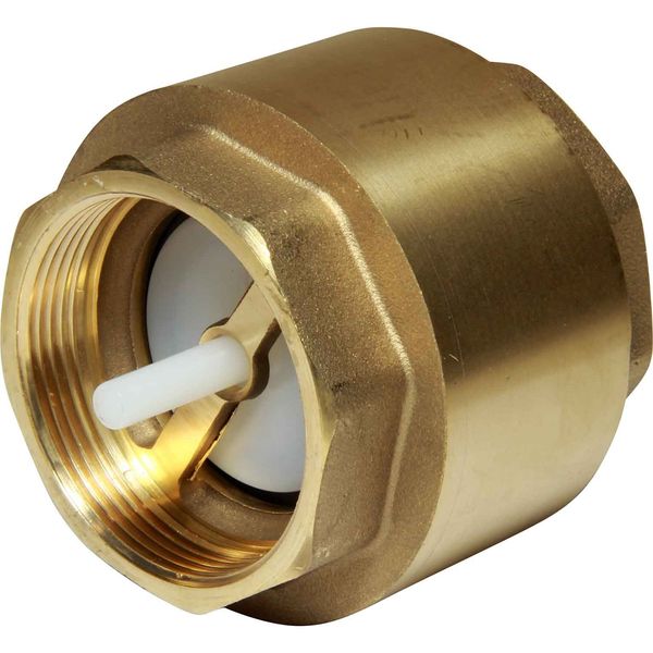 Maestrini Brass Inline Spring Check Valve (2" BSP Female) - PROTEUS MARINE STORE