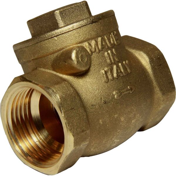 Maestrini Brass Inline Swing Check Valve (1" BSP Female) - PROTEUS MARINE STORE