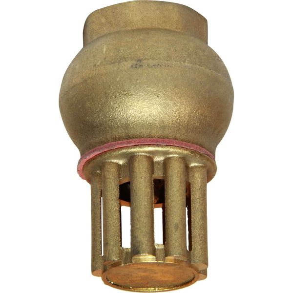 Maestrini Brass Foot Valve (1/2" BSP Female) - PROTEUS MARINE STORE
