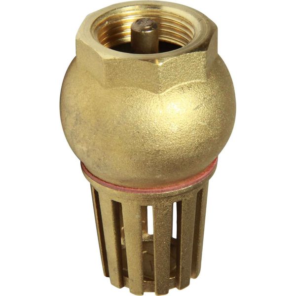Maestrini Brass Foot Valve (3/4" BSP Female) - PROTEUS MARINE STORE