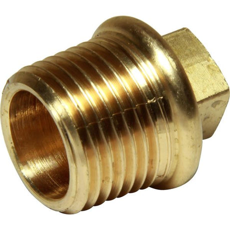 Maestrini Brass Tapered Plug (1/2" BSP Male) - PROTEUS MARINE STORE