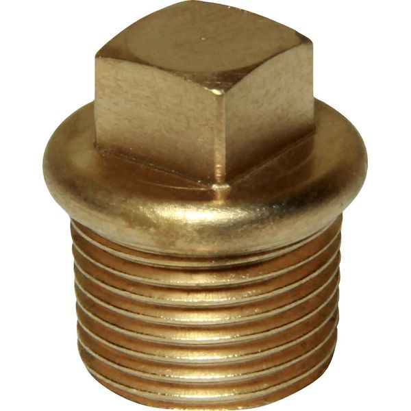 Maestrini Bronze Tapered Plug (1/4" BSP Male) - PROTEUS MARINE STORE