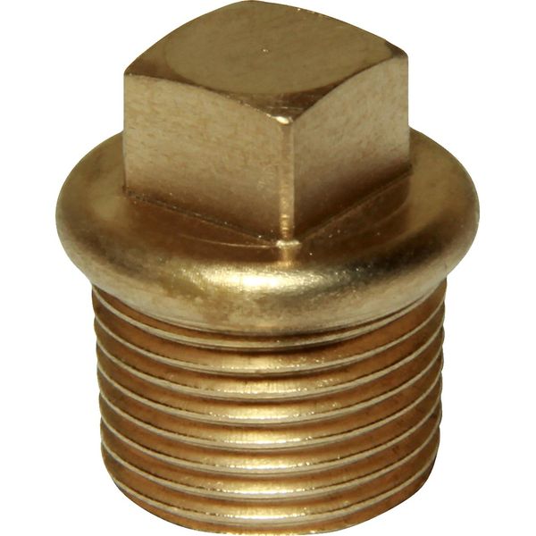 Maestrini Bronze Tapered Plug (3/8" BSP Male) - PROTEUS MARINE STORE