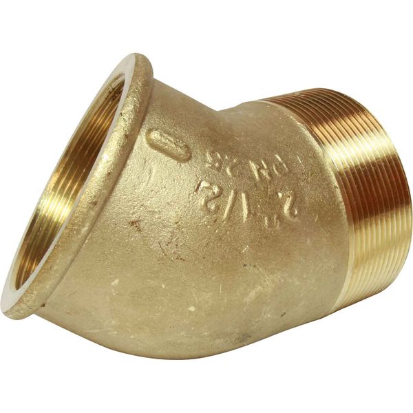 Maestrini DZR Compact 45 Degree Elbow (2-1/2" BSP Male/Female) - PROTEUS MARINE STORE