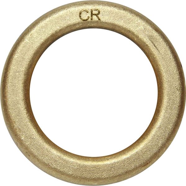 Maestrini DZR Brass Washer (2" BSP) - PROTEUS MARINE STORE