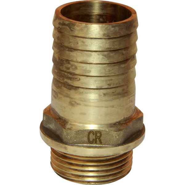 Maestrini DZR Straight Hose Tail (1" BSP Male to 33mm Hose) - PROTEUS MARINE STORE