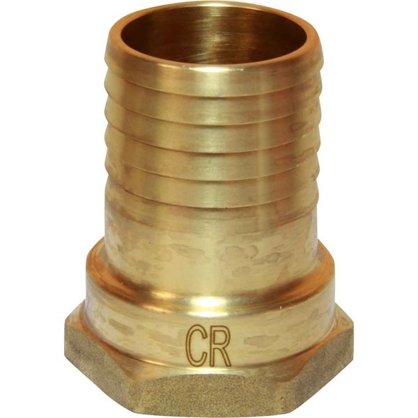 Maestrini DZR Straight Hose Tail (1-1/4" BSP Female to 38mm Hose) - PROTEUS MARINE STORE