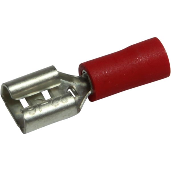AMC Terminal Female Spade 6.3mm Red (50) - PROTEUS MARINE STORE