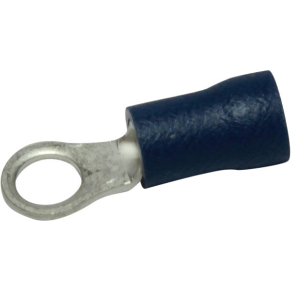 AMC Terminal Loop 4.3mm Blue (50) - PROTEUS MARINE STORE