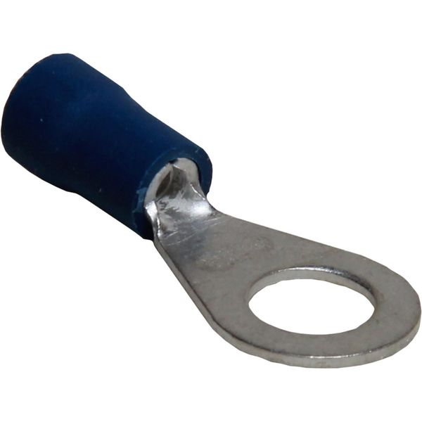 AMC Terminal Loop 6.4mm Blue (50) - PROTEUS MARINE STORE