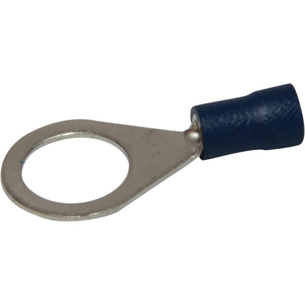 AMC Terminal Loop 10mm Blue (50) - PROTEUS MARINE STORE