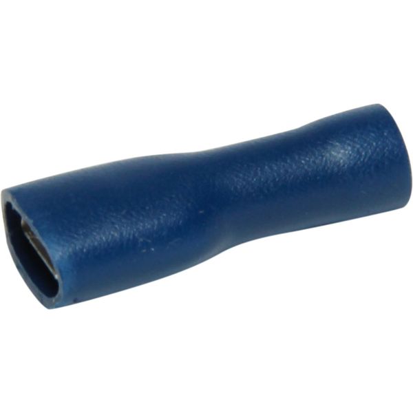 AMC Terminal Female Spade 6.3mm Covered Blue (50) - PROTEUS MARINE STORE