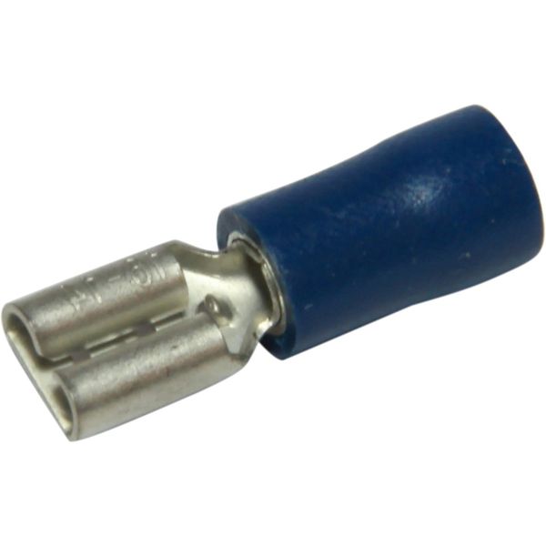 AMC Terminal Female Spade 4.8mm Blue (50) - PROTEUS MARINE STORE