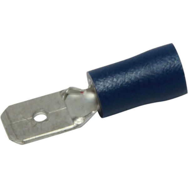 AMC Terminal Male Spade 6.3mm Blue (50) - PROTEUS MARINE STORE