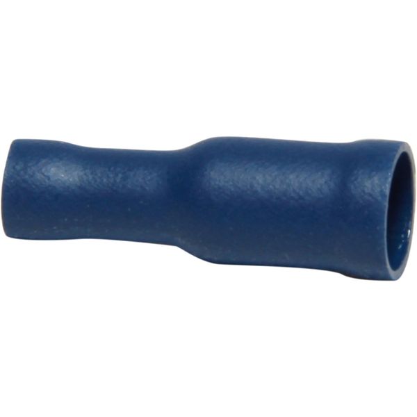 AMC Terminal Female Bullet 5.0mm Blue (50) - PROTEUS MARINE STORE
