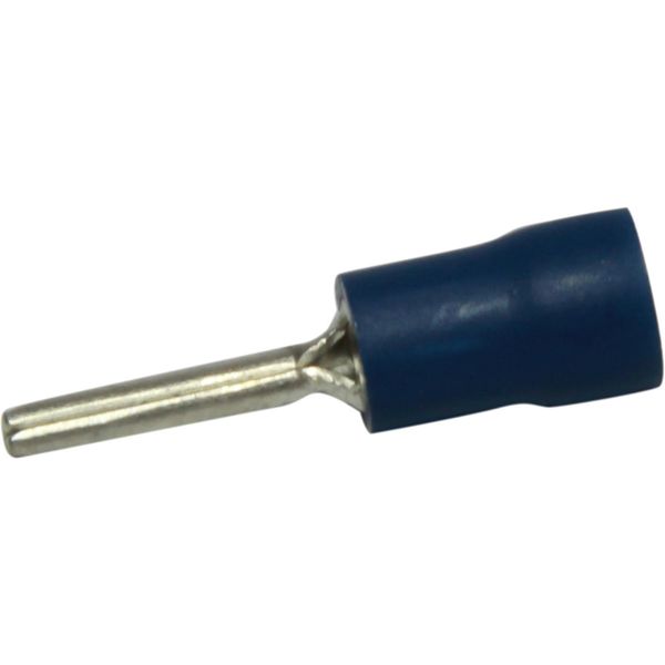 AMC Terminal End Connector 1.9mm Blue (50) - PROTEUS MARINE STORE