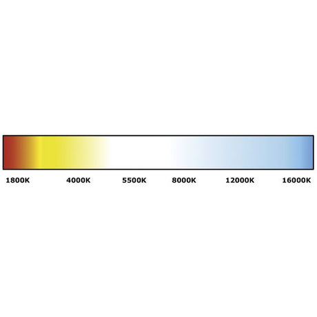 Quick Eyelid Courtesy Light Chrome 10-30V Daylight LED IP65 - PROTEUS MARINE STORE