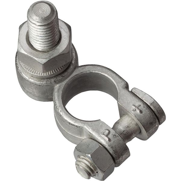 Mastervolt Type D Battery Terminal (M12 / Positive) - PROTEUS MARINE STORE