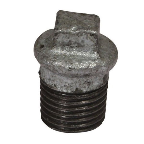 AG Galvanised Plug 1/4" BSP Taper Male - PROTEUS MARINE STORE
