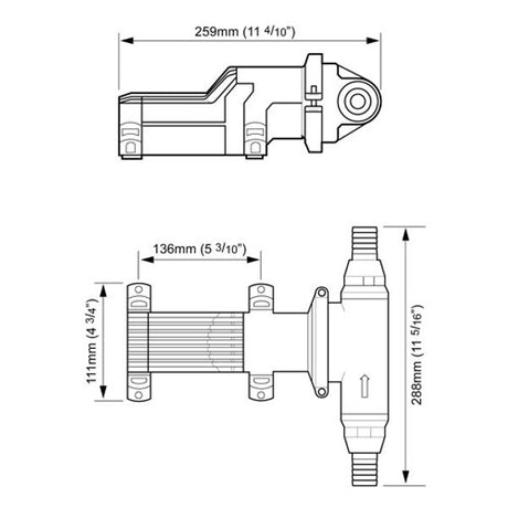 Whale Gulper Grouper Evac Pump 24V - PROTEUS MARINE STORE