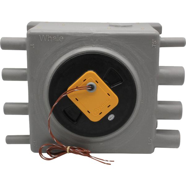Whale Grey Waste Tank 8L 12/24V with IC Control (No Pump) - PROTEUS MARINE STORE