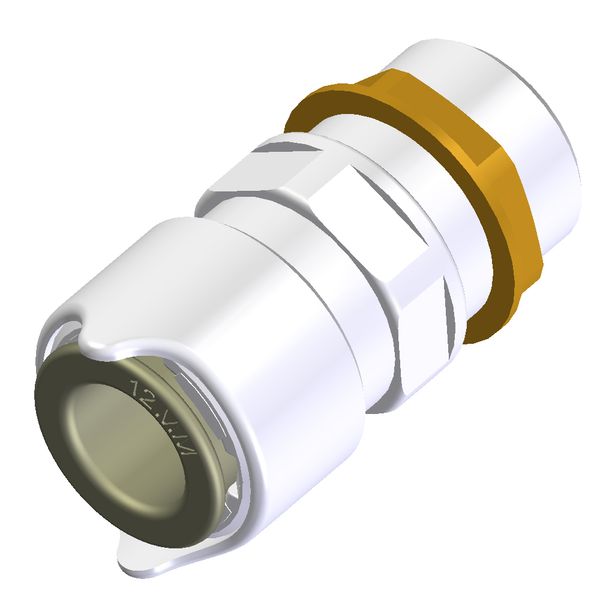 Whale Bulkhead Connector 1/2" BSP - 12mm - PROTEUS MARINE STORE