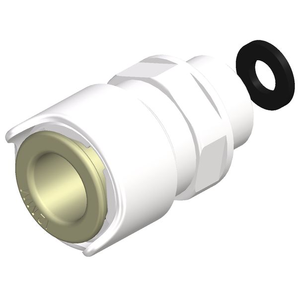 Whale Tap Tail Assembly 3/8" BSP Male - 12mm - PROTEUS MARINE STORE