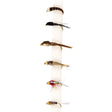 Snowbee River Barbed Fly Selection - SF202 River Nymphs - PROTEUS MARINE STORE