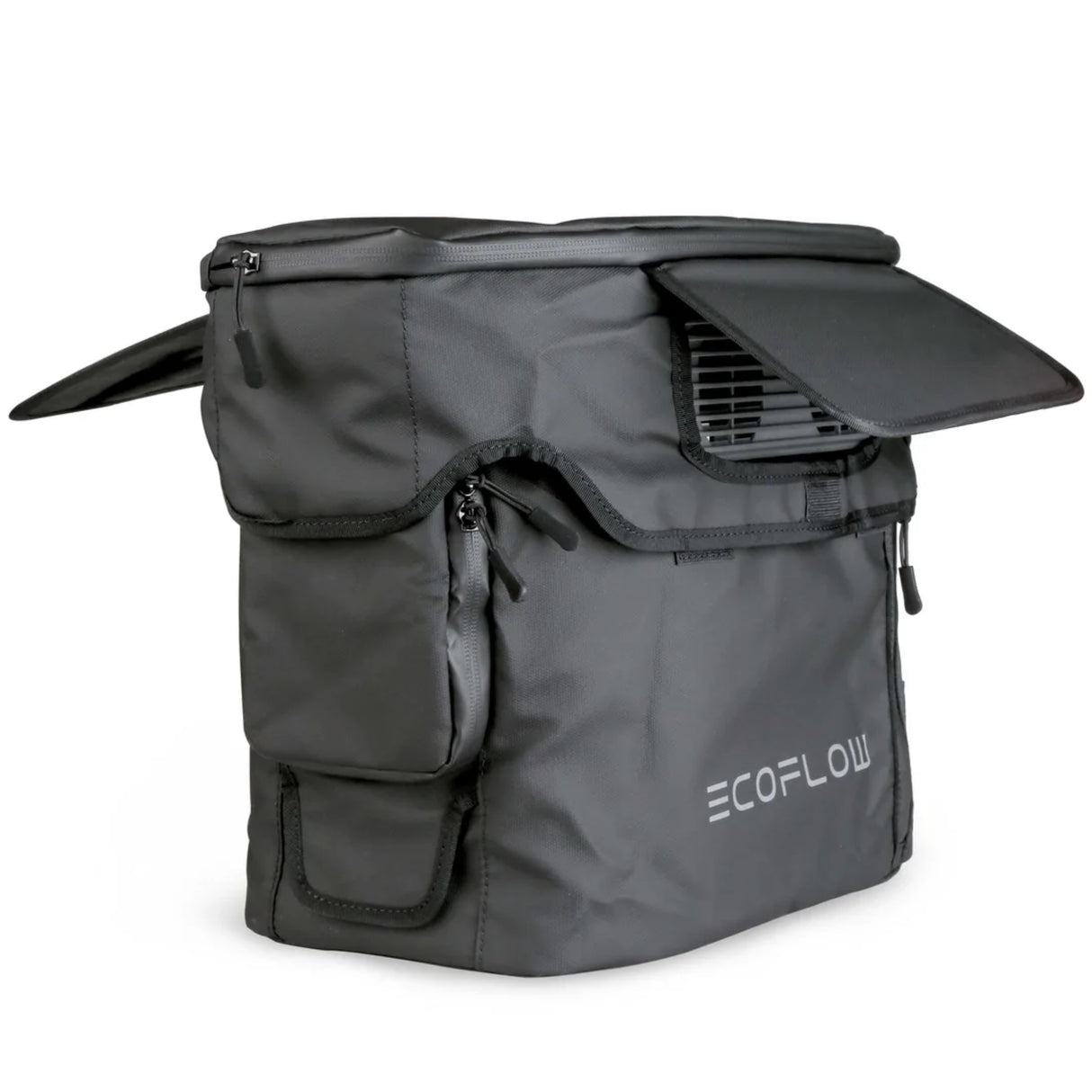 EcoFlow DELTA 2 Bag - PROTEUS MARINE STORE