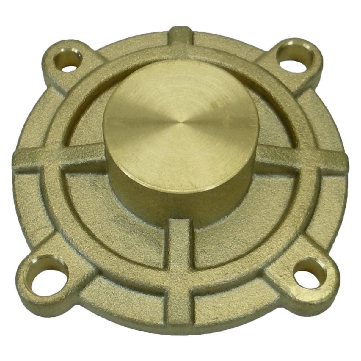 Johnson End Cover Plate for Johnson F5B-902 Engine Cooling Pumps