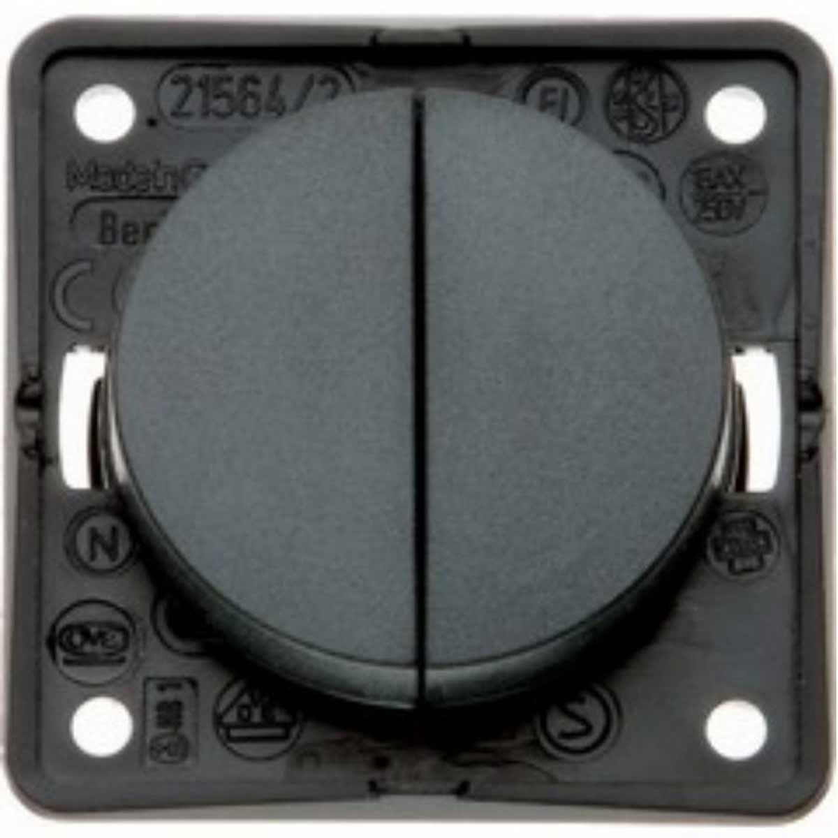 Berker Double 12V Switch