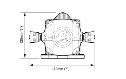 Whale Watermaster Electric Automatic Pressure Pump 8L 12V 30PSI + Strainer - PROTEUS MARINE STORE