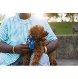 Ruffwear Front Range Dog Harness - Blue Pool (L / XL) 32 - 42 in