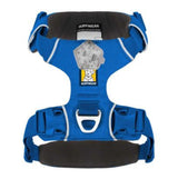 Ruffwear Front Range Dog Harness - Blue Pool (L / XL) 32 - 42 in