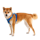 Ruffwear Front Range Dog Harness - Coastal Mountains Print (L / XL) 32 - 42 in