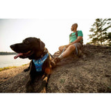 Ruffwear Front Range Dog Harness - Coastal Mountains Print (L / XL) 32 - 42 in