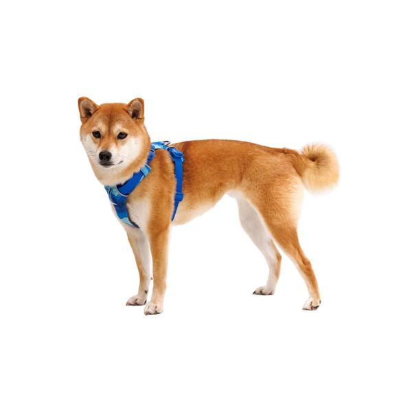 Ruffwear Front Range Dog Harness - Coastal Mountains Print (Small)