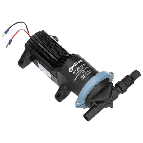 Whale Gulper 220 24V Shower Waste Water Pump - BP1554 14 LPM 19mm Hose IP45