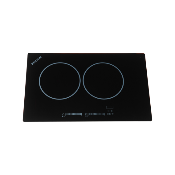 Bridge Induction 2 Burner Landscape, 240V