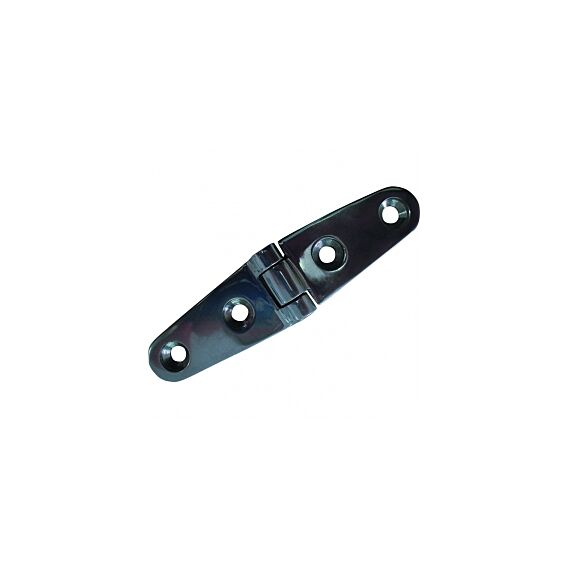 Stainless Steel Hinge SS316