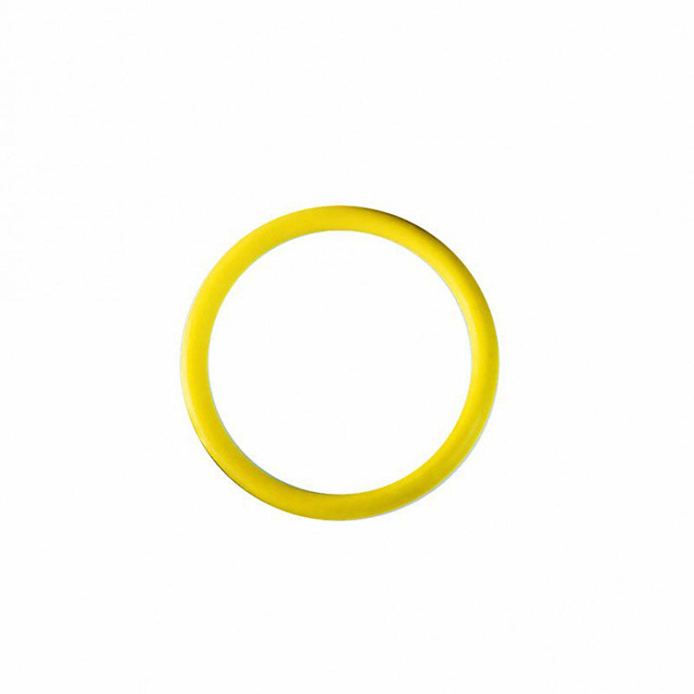 Airmar DST800 Yellow O Ring for valve - PROTEUS MARINE STORE