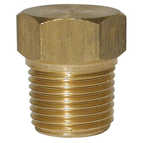 AG Screwed Brass Plug 1/4" BSP Taper Thread Packaged - PROTEUS MARINE STORE